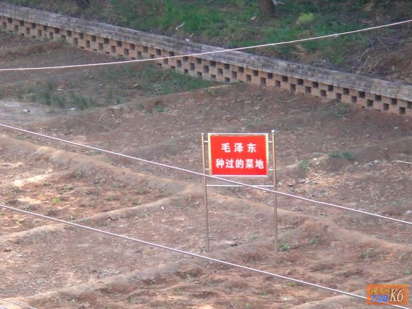 点击在新窗口查看原始图片