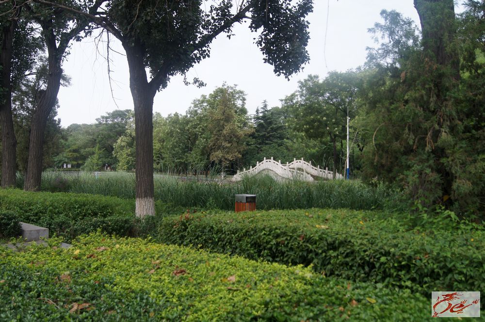 点击在新窗口查看原始图片