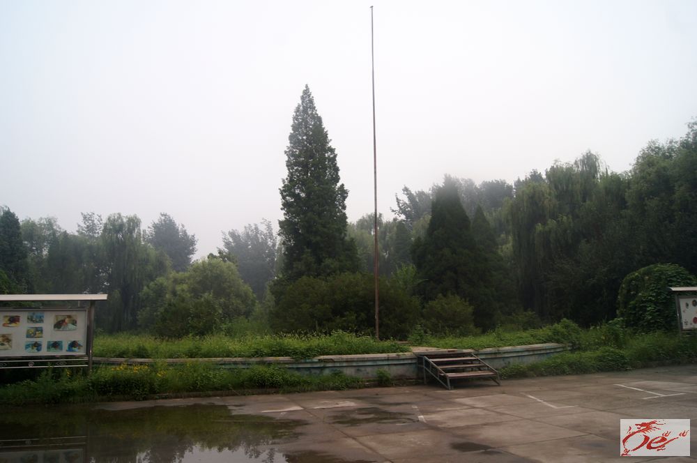 点击在新窗口查看原始图片