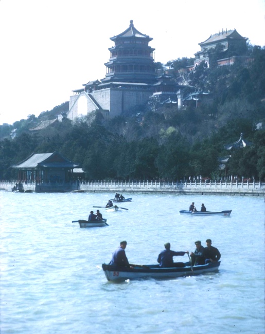 点击在新窗口查看原始图片