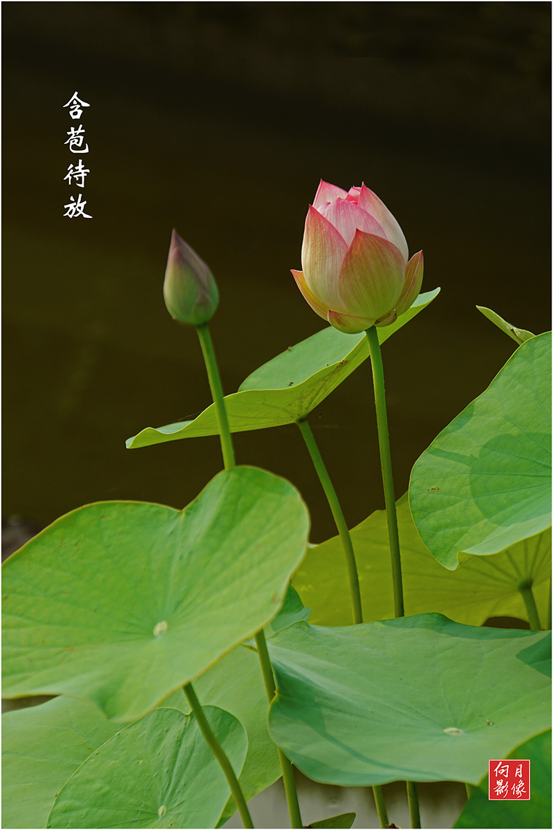 点击在新窗口查看原始图片